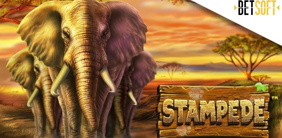 Бонусы и функции в слоте Stampede